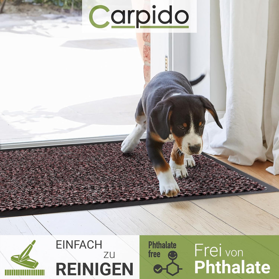 Carpido Fussmatte 60 x 80 cm Rot meliert für den Innenbereich - Klassischer Türvorleger schnelltrock