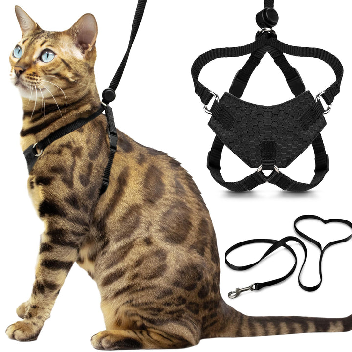 OutdoorBengal Katzengeschirr und Leine, gross, ausbruchsicher, erstickungsfrei, leicht, einfach anzu