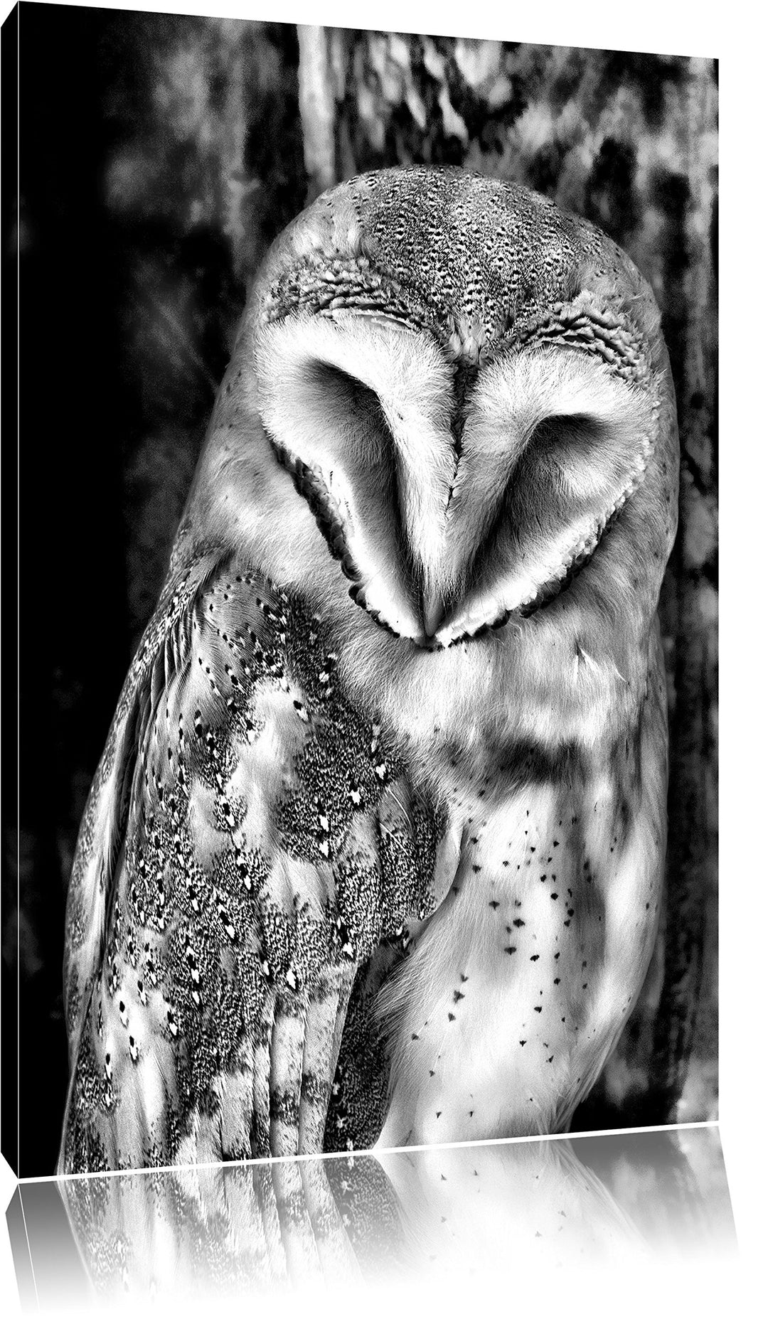 Monocrome, Schleiereule, Format: 100x70 auf Leinwand, XXL riesige Bilder fertig gerahmt mit Keilrahm