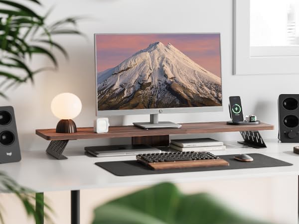 Fenge Dual Monitorständer mit Modernen Metallfüssen Multifunktionaler Bildschirmständer für Computer