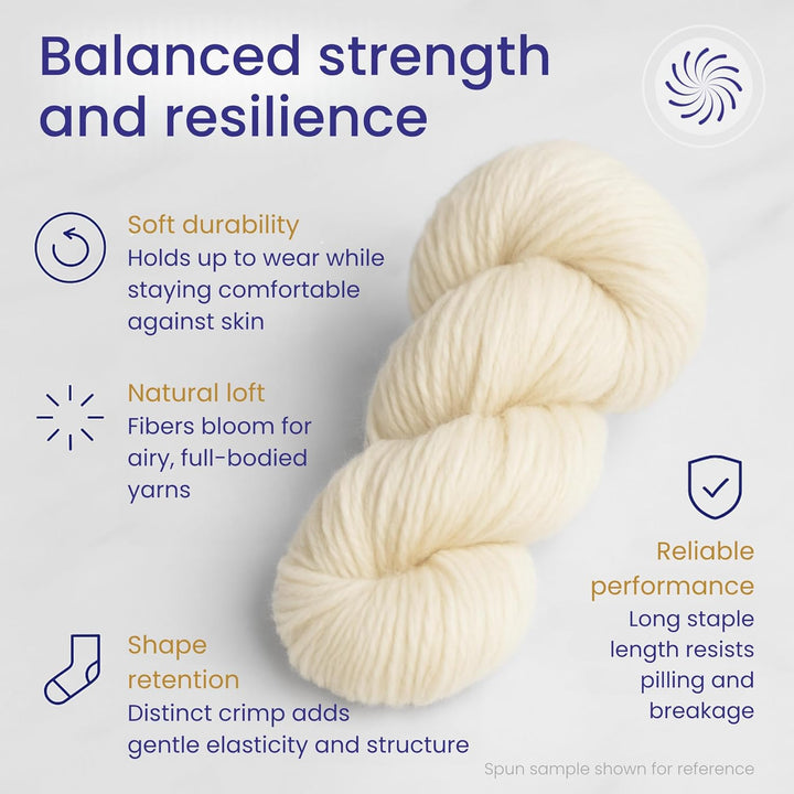 Revolution Fibers Corriedale Wolle Roving 473 g zum Spinnen, weiches grobes Jumbo-Garn für Armstrick