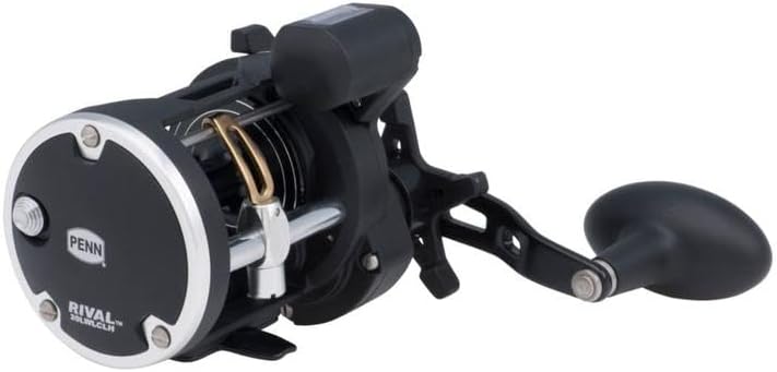 PENN Rival Level Wind Multirolle für Boote und Kajaks – Hochleistungs-Salzwasserrolle für Dorsch, Ba