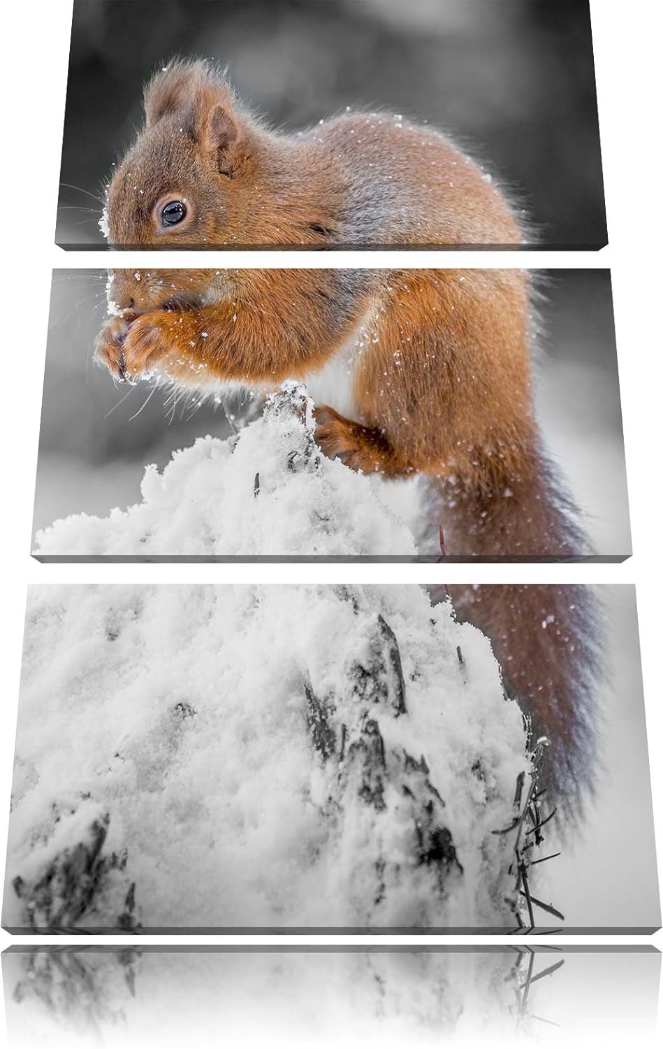 Pixxprint Kleines Eichhörnchen im Winter Schwarz/Weiss 3-Teiler Leinwandbild 120x80 Bild auf Leinwan