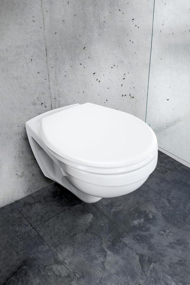 WENKO WC-Sitz Rieti, hygienischer Toilettensitz mit Absenkautomatik, stabiler WC-Deckel bis 350 kg b