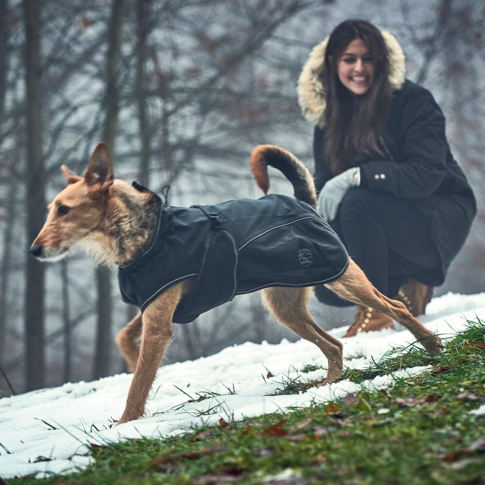 HUNTER UPPSALA SOFTSHELL Hundemantel, Funktionsmantel, 50, schwarz, 50