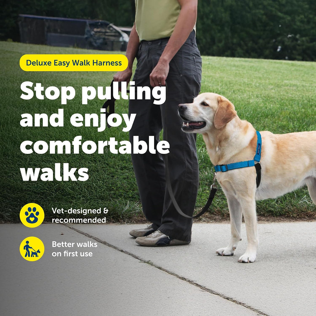 PetSafe Deluxe Easy Walk Hundegeschirr ocean Medium/Large, ocean Medium/Large
