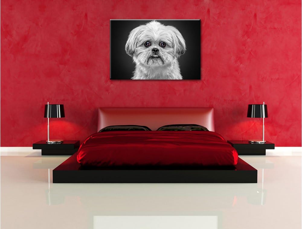 Pixxprint lustiger Kleiner Hund als Leinwandbild/Grösse: 100x70 cm/Wandbild/Kunstdruck/fertig bespan