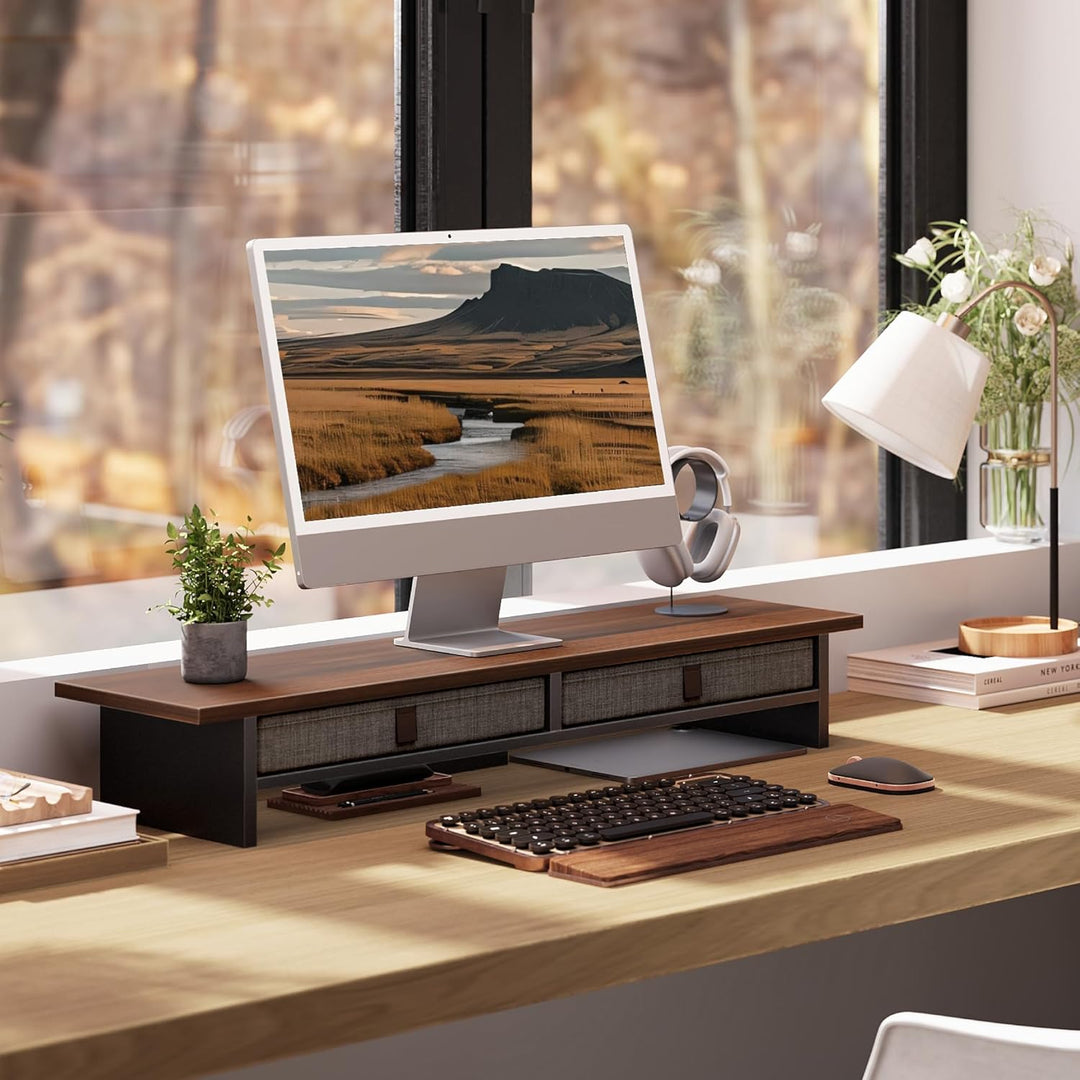 Fenge Dual Monitorständer Riser 2 Etagen Computer Monitor Ständer mit Schublade für PC Laptop Drucke