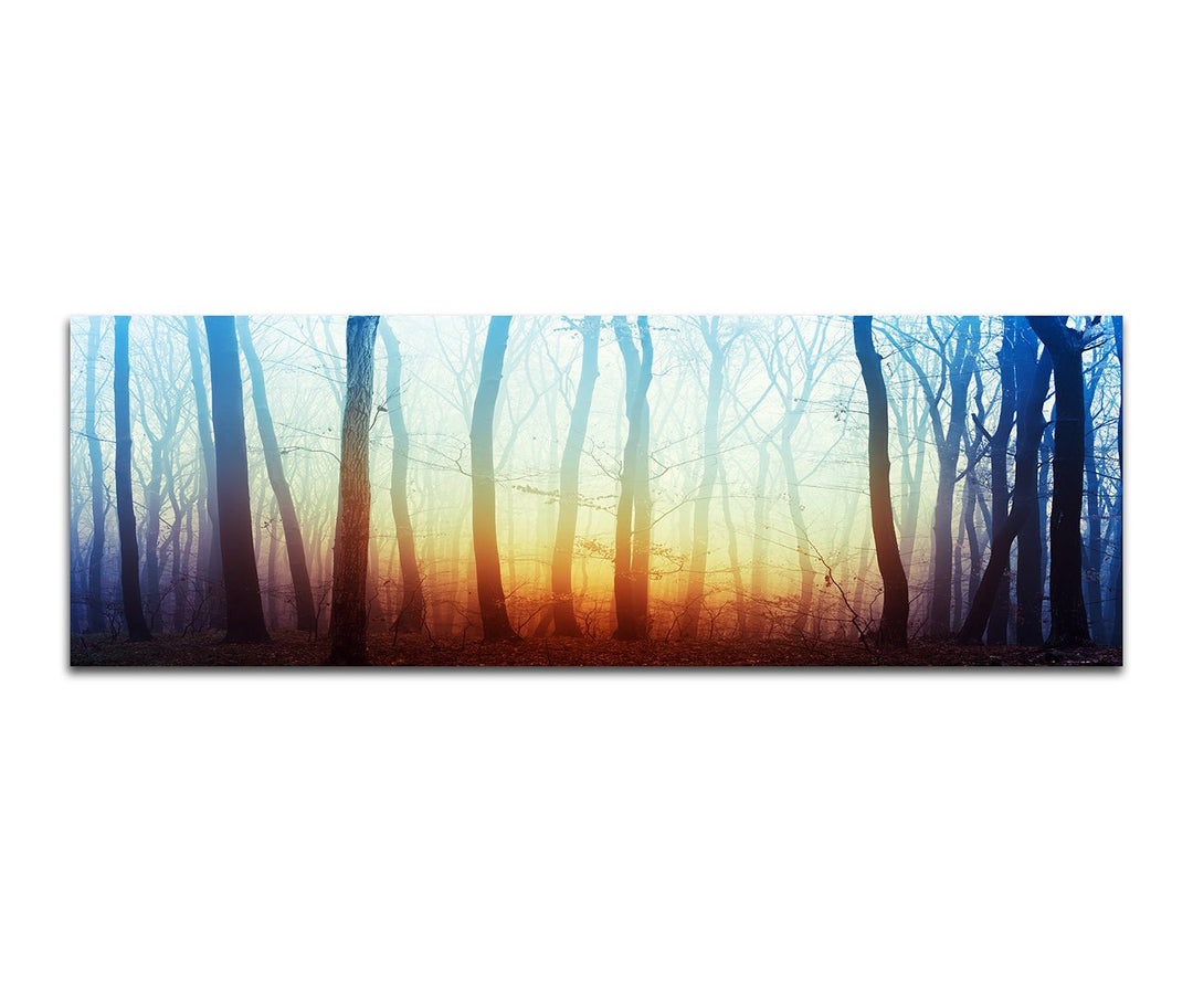 Paul Sinus Art Panoramabild auf Leinwand und Keilrahmen 150x50cm Wald Bäume Licht mystisch