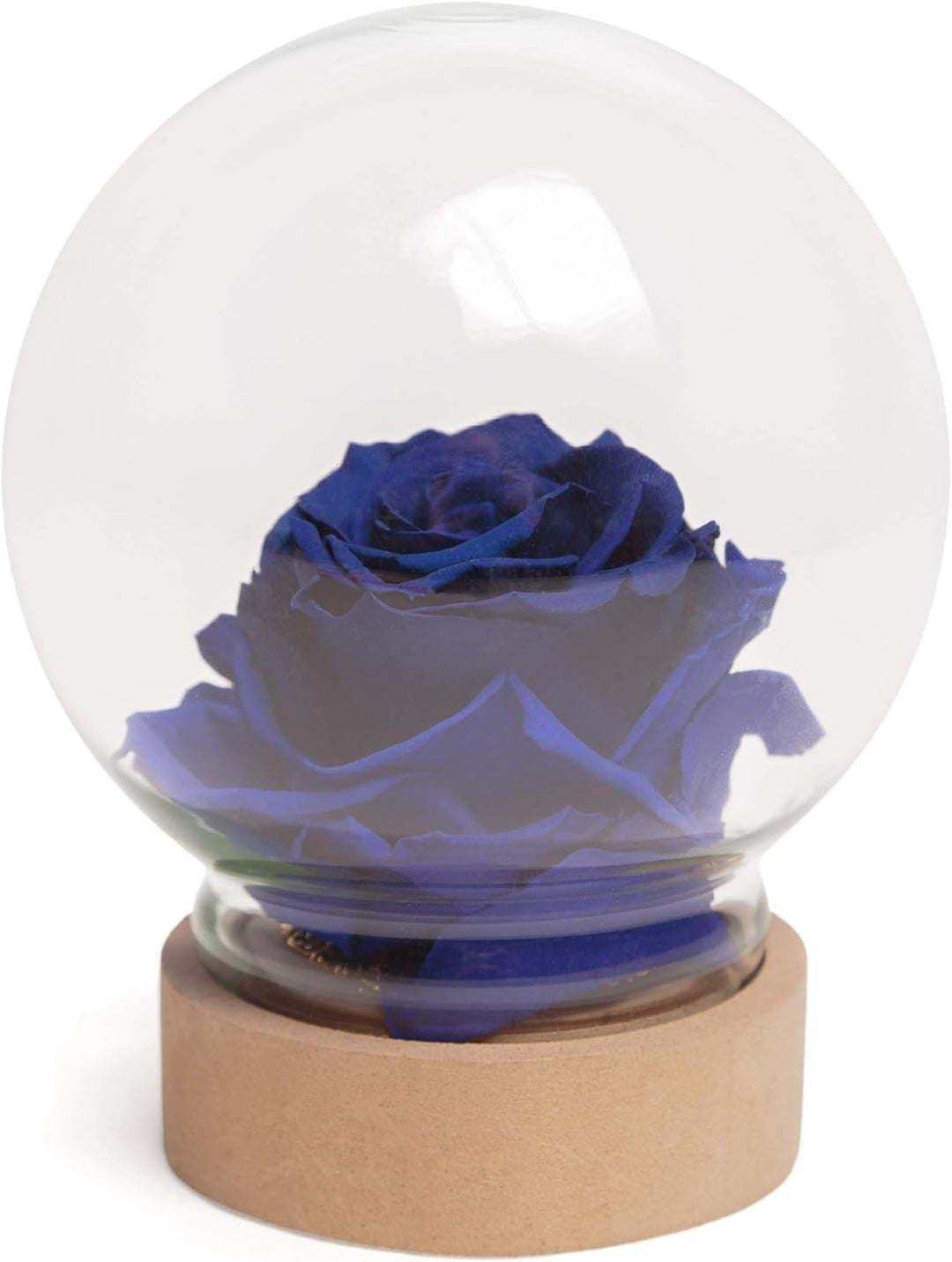 Infinity Rose im Glas die Schöne und das Biest echte langlebige Rose in Glaskugel (Large, Blau) Larg