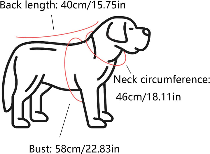 Regenmantel für Hunde Mit Kapuze - Verstellbar, für Unterschiedliche Grössen und Formen (Blau)