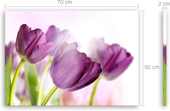 ge Bildet Bild auf Leinwand | Tulpe in 70x50 cm als Wandbild | Wand-deko Dekoration Wohnung modern B