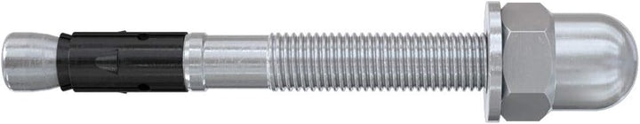 fischer Bolzenanker mit Hutmutter FAZ II 10 / 10 H, Schwerlastanker mit hoher Tragfähigkeit, Ankerbo