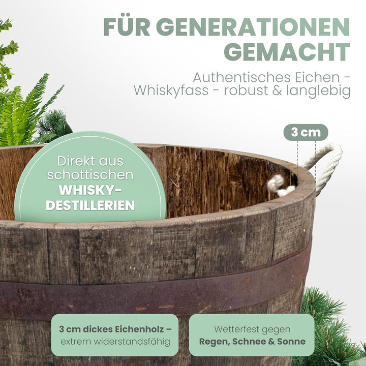 Temesso Halbes Fass aus einem originalen schottischen Whiskyfass (Natur - mit Schlaufen + Rollen + A