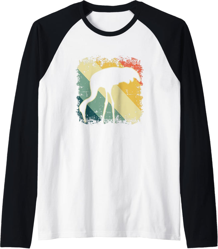 Safari Bird Vintage African Sacred Ibis Retro Sunset Summer Raglan