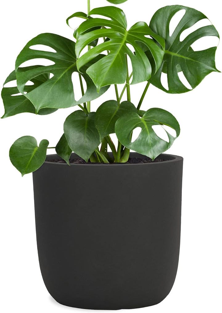 Pflanzwerk® Pflanzkübel Cup - Blumentöpfe Übertöpfe 27cm Ø ANTHRAZIT *Frostbeständige Blumenkübel* *