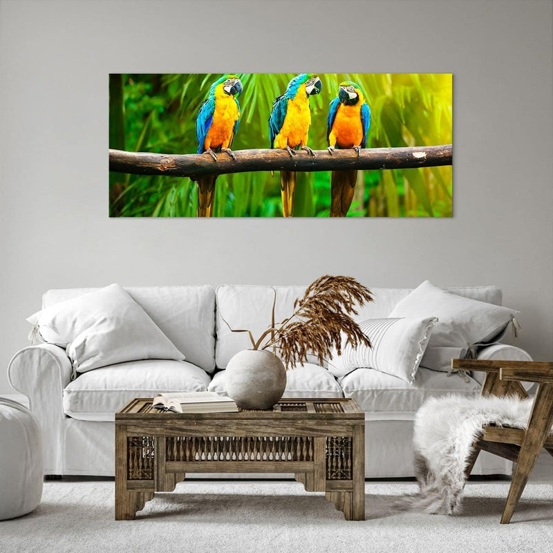 Wandbilder Dekoration Wohnzimmer Papageien Collorful Natur Vögel Panorama Bilder auf Leinwand 120x50