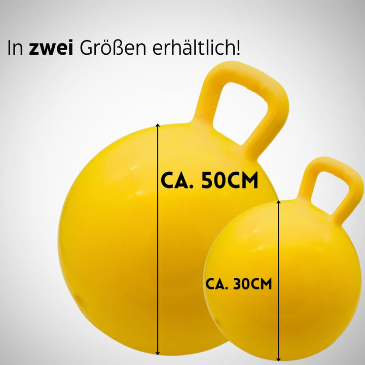 PFIFF 103033 aufblasbarer Pferdespielball, Spielball für Pferde, Pferdespielzeug, Ball mit Luftpumpe