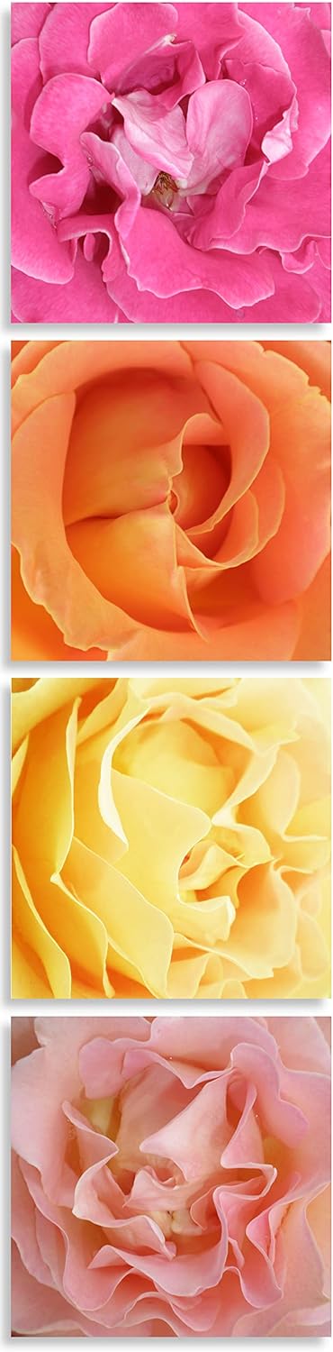 WunschPIXEL – Wandbild Blumen auf weissem Acrylglas, Set 4-teilig je 20x20 cm, quadratisch, Rosen, G