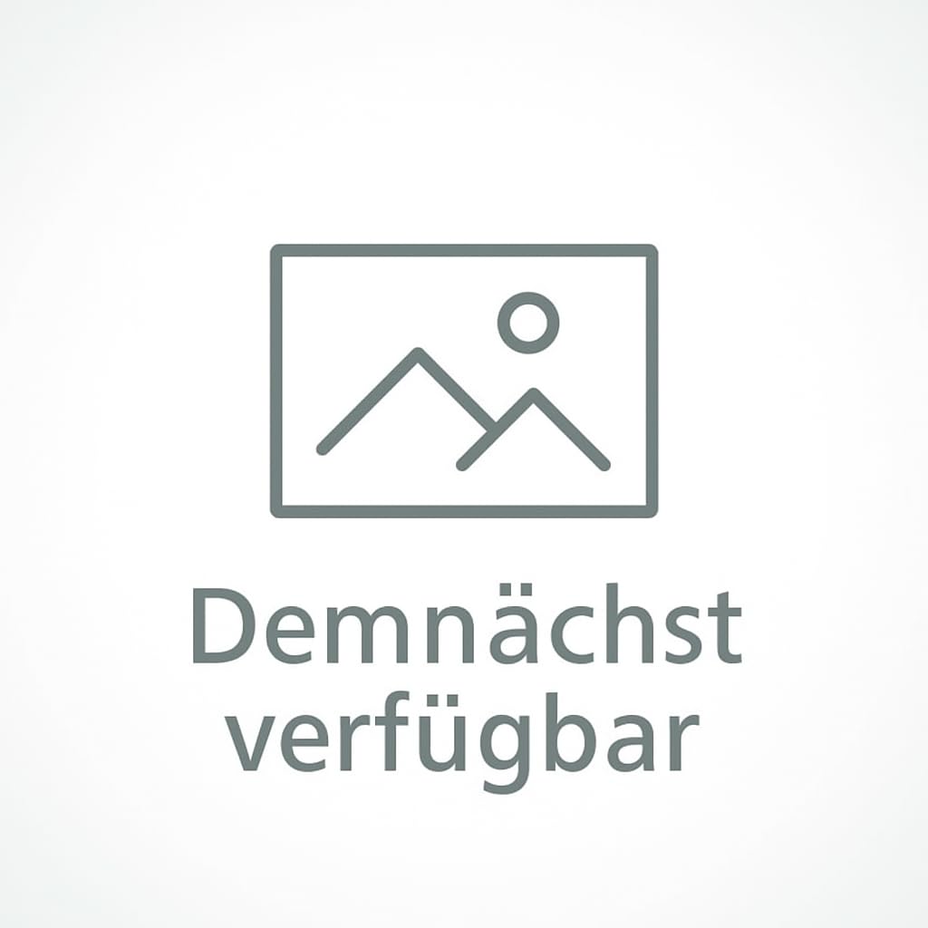 KUDA Handyhalterung passend für FIAT Ducato ab 2021 Facelift & Citroën Jumper & Peugeot Boxer ab 202