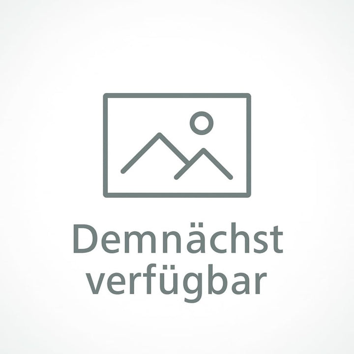 KUDA Handyhalterung passend für FIAT Ducato ab 2021 Facelift & Citroën Jumper & Peugeot Boxer ab 202