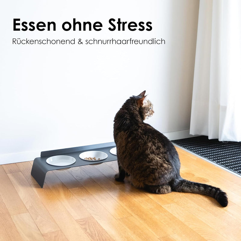 LucyBalu® Erhöhte 3er-Futterstation Katze | Ergonomischer Katzennapf erhöht | Erhöhter Futternapf fü