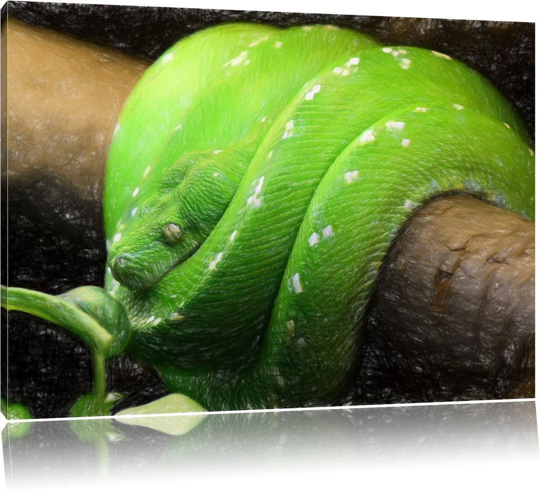 Pixxprint Grüne exotische Schlange als Leinwandbild/Grösse: 100x70 / Wandbild/Kunstdruck/fertig besp