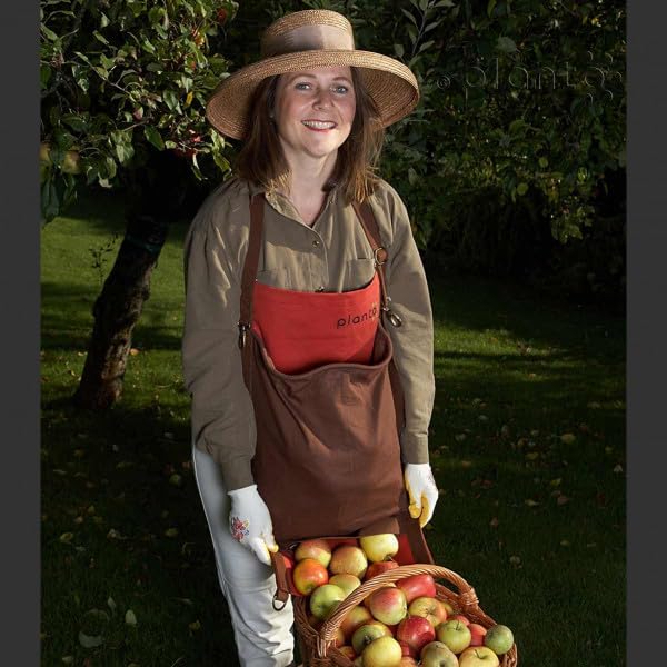 planto Profi-Pflücktasche Ernteschürze Garten, Gartenschürze für Ernte, Sammelschürze, für Gartenabf