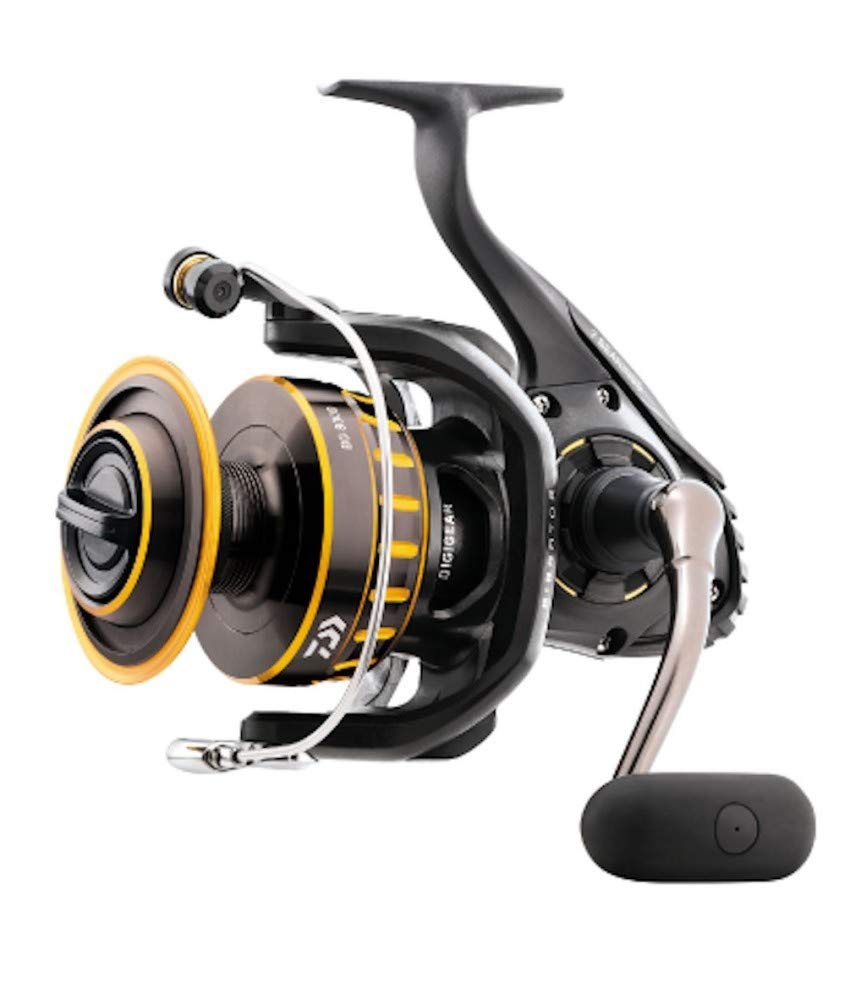 Daiwa Meeresrolle BG, M