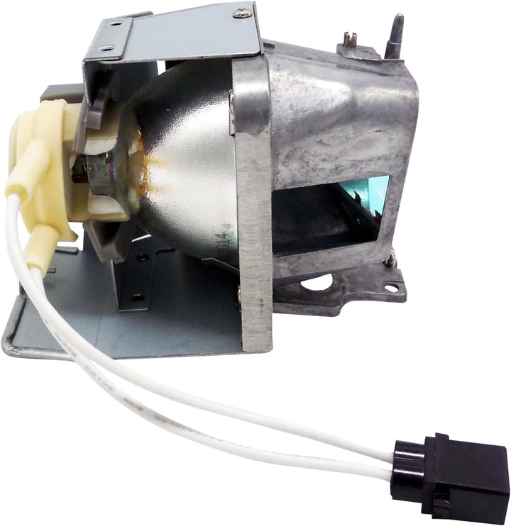 BL-FP210A SP.70201GC01 Beamerlampe Ersatz Projektorlampe Birne mit Gehäuse Kompatibel mit OPTOMA DH1