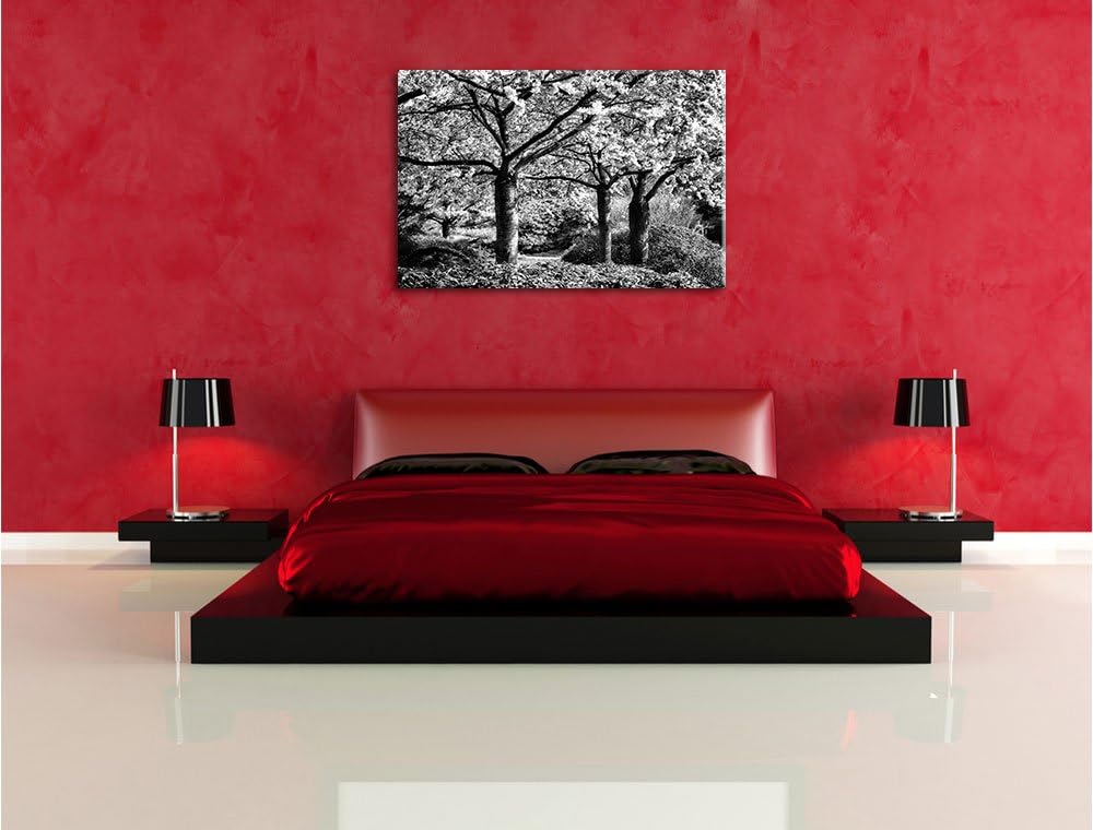 Pixxprint Rosa blühende Kirschbäume als Leinwandbild/Grösse: 100x70 cm/Wandbild/Kunstdruck/fertig be