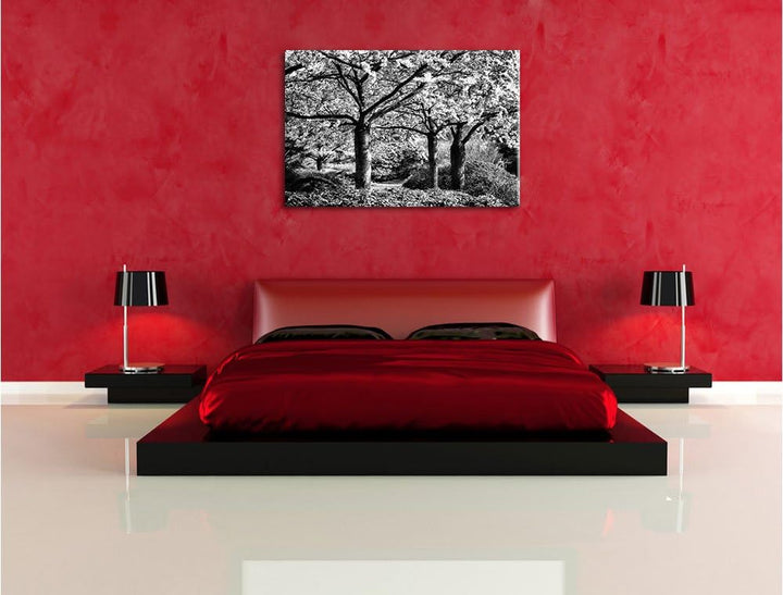 Pixxprint Rosa blühende Kirschbäume als Leinwandbild/Grösse: 100x70 cm/Wandbild/Kunstdruck/fertig be