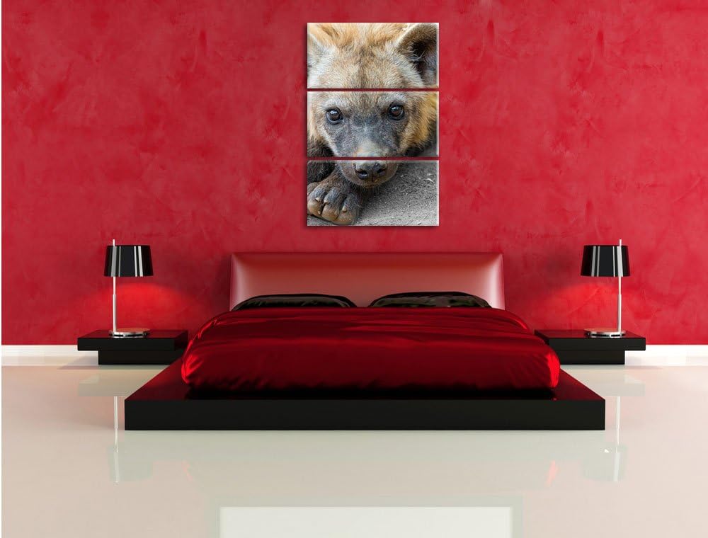 Pixxprint niedliche kleine Hyäne als Leinwandbild/Grösse: 3 Teilig (120x80) cm/Wandbild/Kunstdruck/f