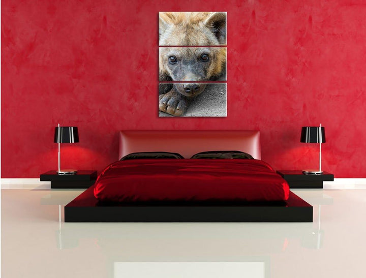Pixxprint niedliche kleine Hyäne als Leinwandbild/Grösse: 3 Teilig (120x80) cm/Wandbild/Kunstdruck/f