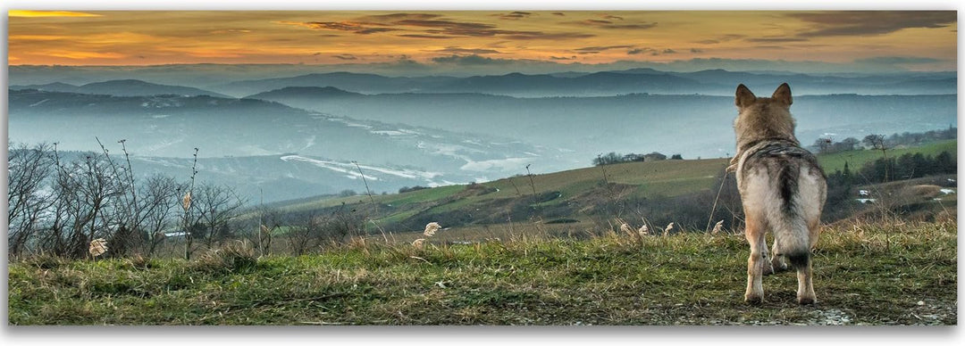 Feeby Bilder Wolf Tier Berge Nebel 100x40 cm Wohnzimmer Schlafzimmer Büro Flur Küche Wandbilder Mode
