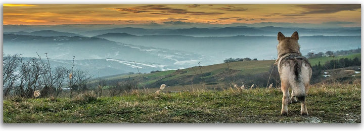 Feeby Bilder Wolf Tier Berge Nebel 100x40 cm Wohnzimmer Schlafzimmer Büro Flur Küche Wandbilder Mode