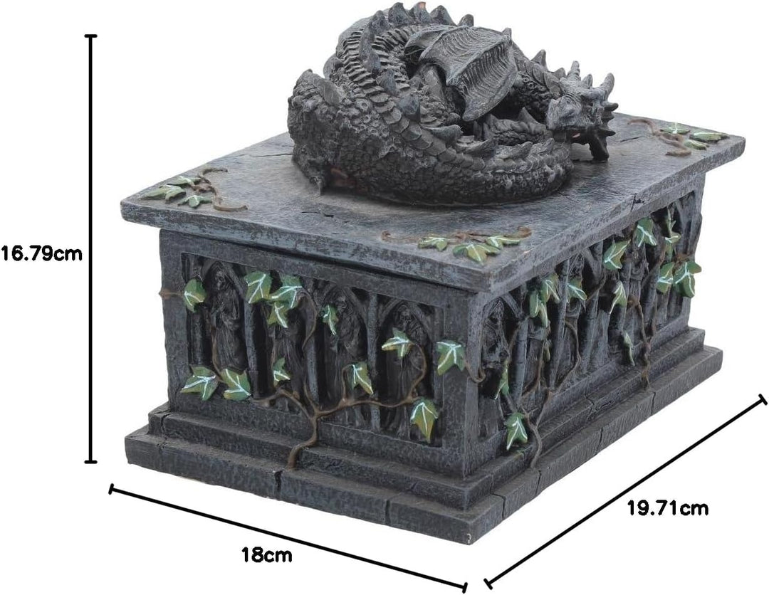 Nemesis Now NOW102 Drachen-Tarotbox, Kunstharz, 18 cm, Schwarz 18 cm Schwarz, 18 cm Schwarz