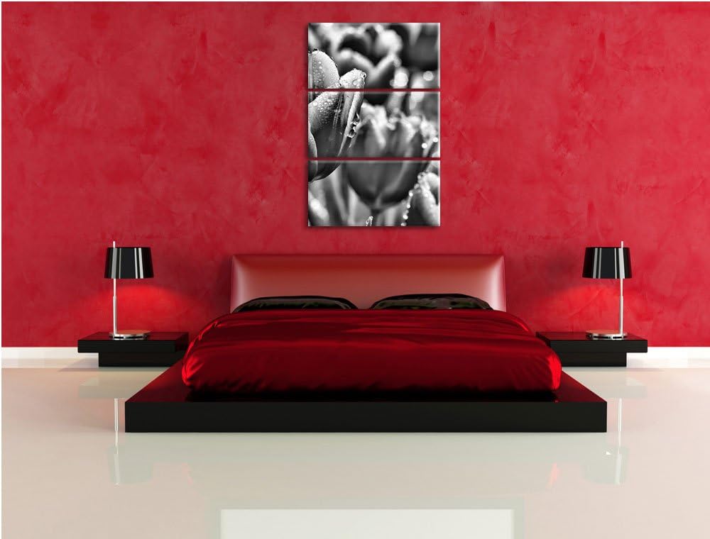 Pixxprint Tulpen mit Morgentau als Leinwandbild/Grösse: 3 Teilig (120x80) cm/Wandbild/Kunstdruck/fer