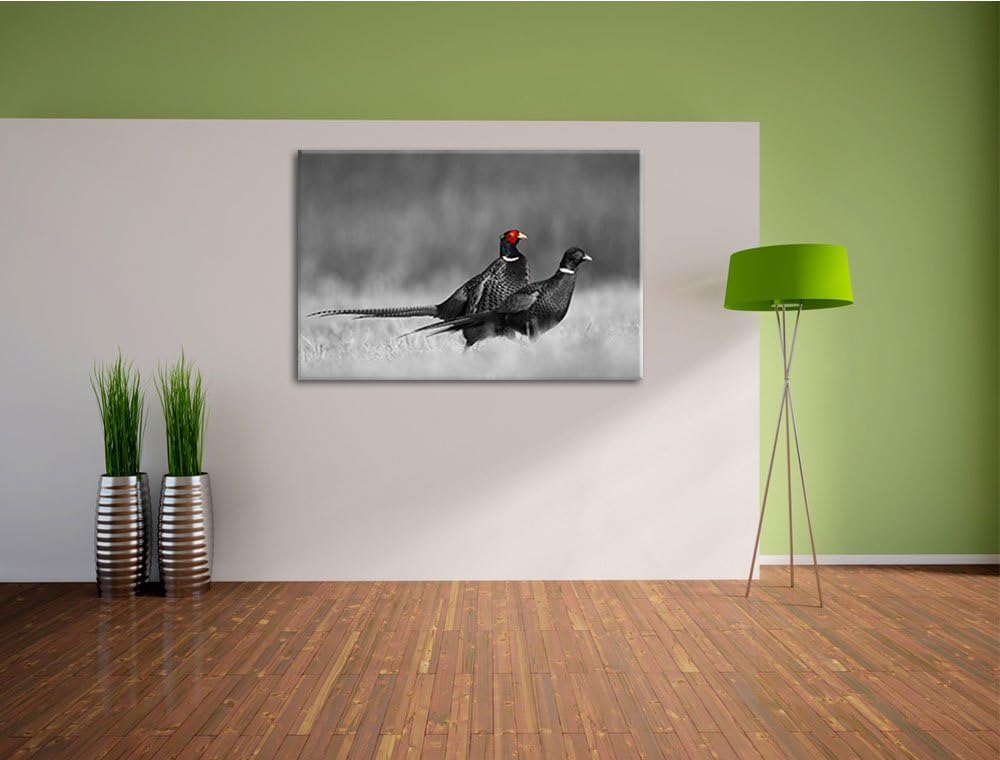 zwei Fasane auf Wiese schwarz/weiss Format: 100x70 auf Leinwand, XXL riesige Bilder fertig gerahmt m