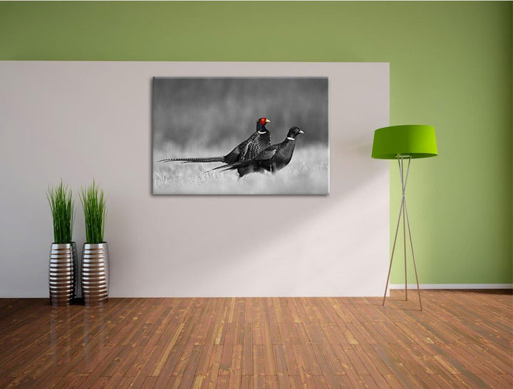 zwei Fasane auf Wiese schwarz/weiss Format: 100x70 auf Leinwand, XXL riesige Bilder fertig gerahmt m