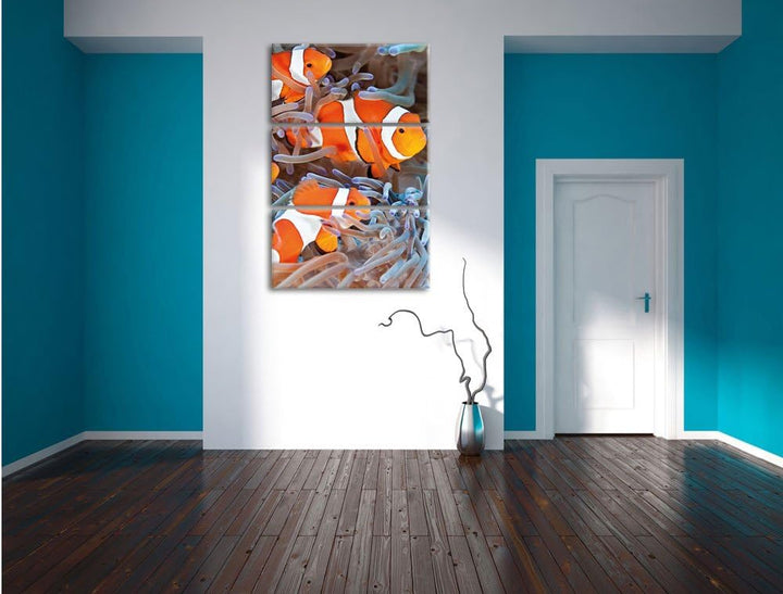 Pixxprint Clown Fische in Anemone als Leinwandbild | Grösse: 3 Teilig (120x80) | Wandbild| Kunstdruc