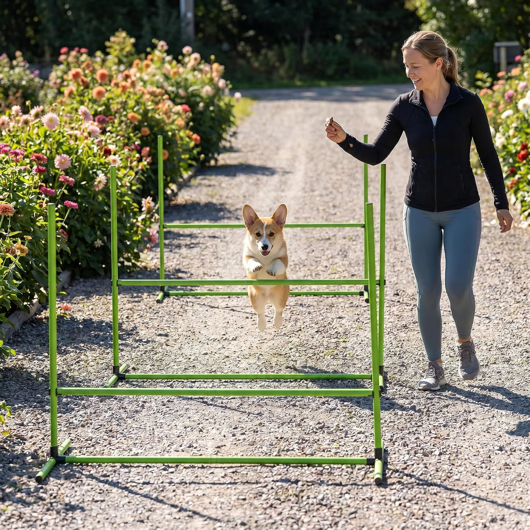 ACXIN Agility Set Hürdenset Hundetraining Zubehör mit 4 Stück Hürden, Slalom Stangen Agility-Ausrüst