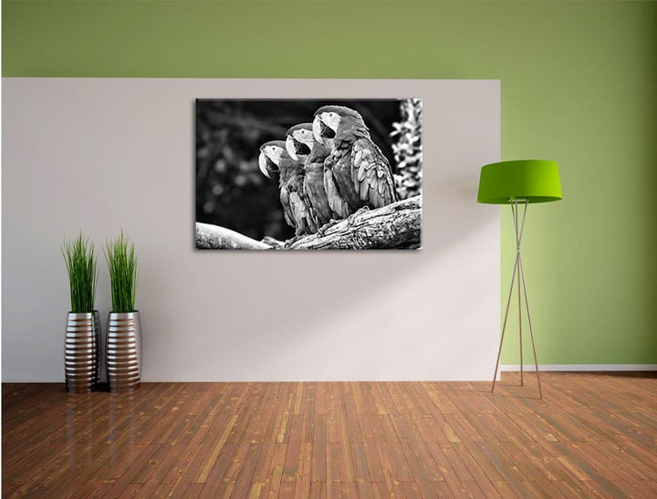 Papageien auf AST als Leinwandbild/Grösse: 100x70 cm/Wandbild/Kunstdruck/fertig bespannt, 100x70