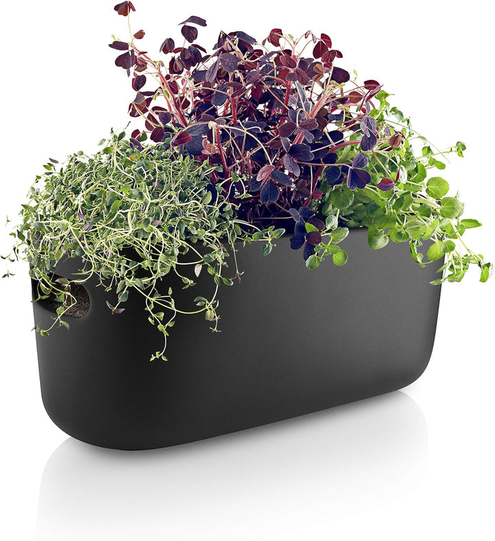 EVA SOLO | Selbstbewässernder Herb-Organiser Black | Verhilft Kräutern zu einem Langen Leben | Schwa