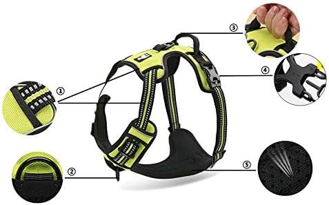 WINHYEPET Truelove Hundegeschirr No-Pull Reflektierendes verstellbar Haustiergeschirr mit 2 Leinencl