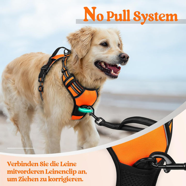 rabbitgoo Hundegeschirr Mittelgrosse Hunde Anti Zug Geschirr Hund mit Kontrolle No Pull Verstellbar