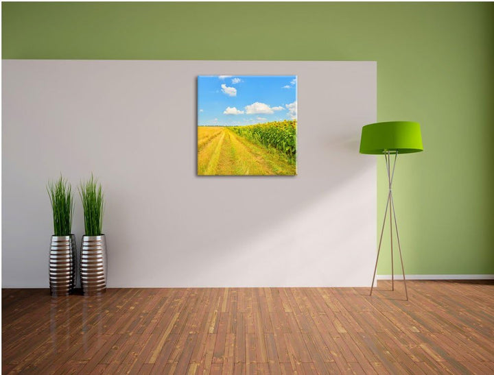 Pixxprint Feldweg am Wald, Format: 70x70 auf Leinwand, XXL riesige Bilder fertig gerahmt mit Keilrah