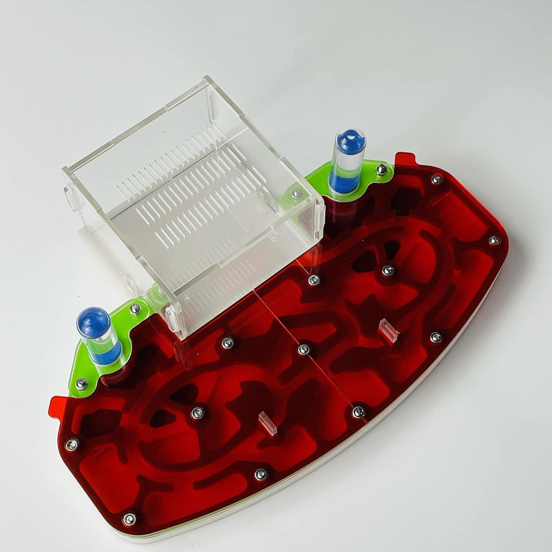 Grosse Grösse 24 * 18cm Arylisches AMEISENNEST, Ameisenfarm, Ameisenlebensraum, FORMICARIUM MIT EING