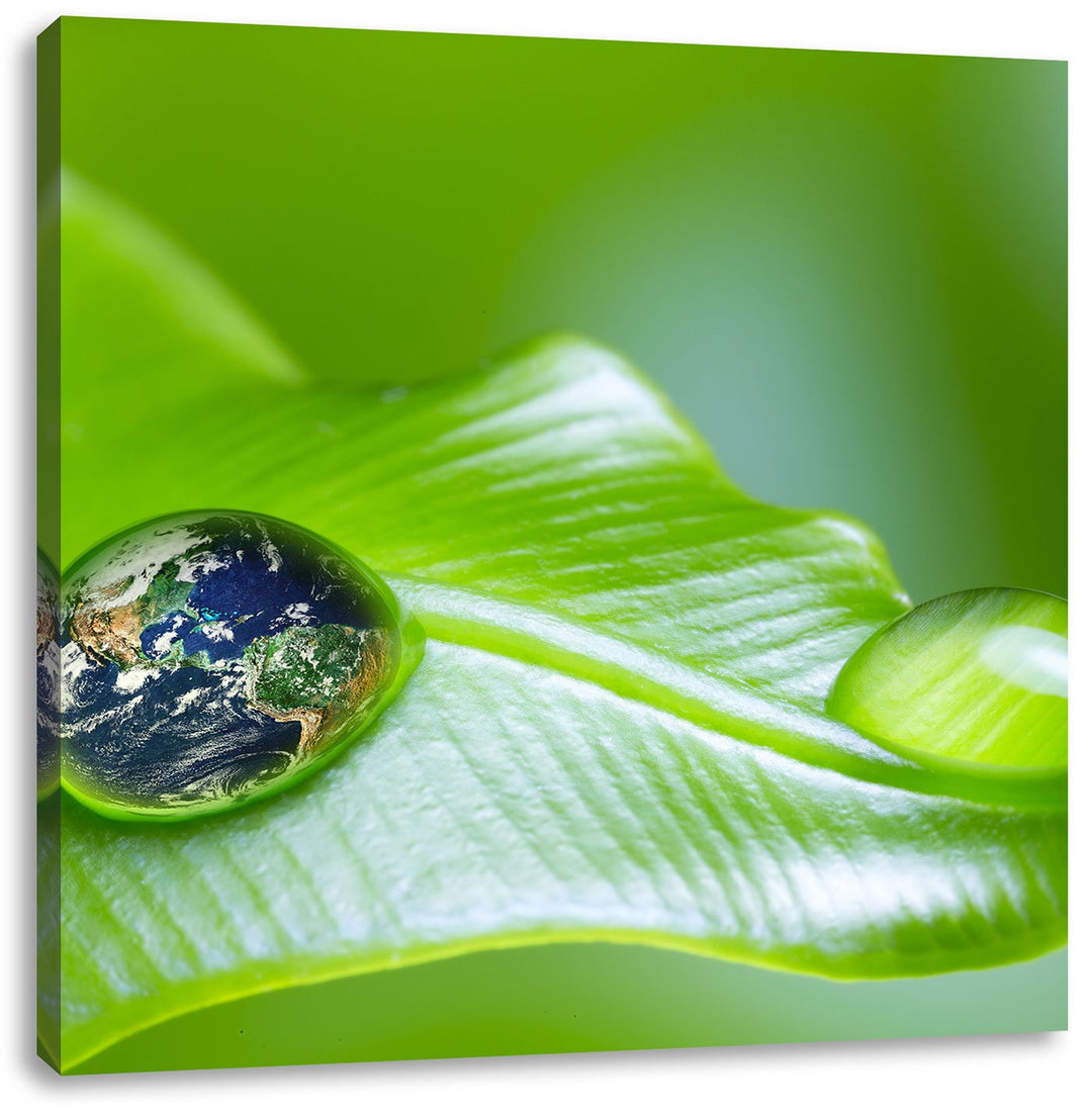 Pixxprint Tautropfen Planet Erde als Leinwandbild Quadratisch/Grösse: 70x70 / Wandbild/Kunstdruck/fe
