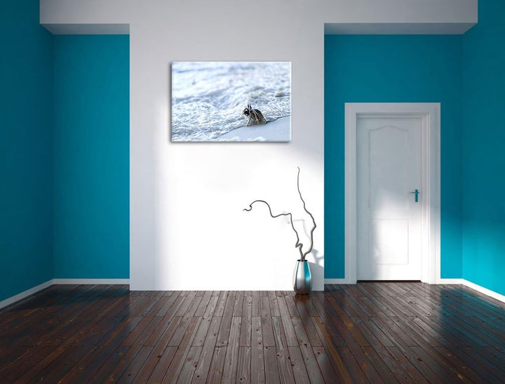 kleine Krabbe am Strand Leinwand, XXL riesige Bilder fertig gerahmt mit Keilrahmen, Kunstdruck auf W
